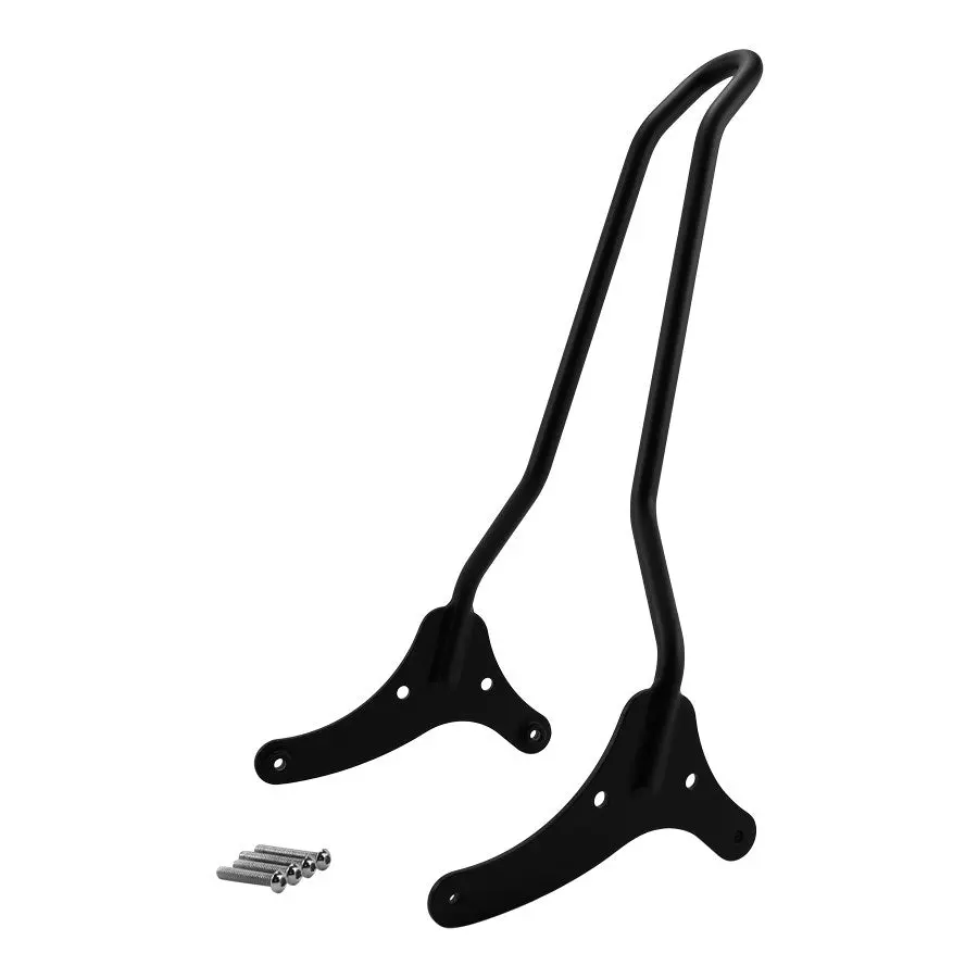 Tc Bros. Sissy Bar For Harley-Davidson Sportster 2004-2022 4