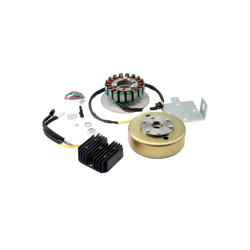 Xscharge™ Xs650 Permanent Magnet Alternator Kit Pma (Fits All Years) 2