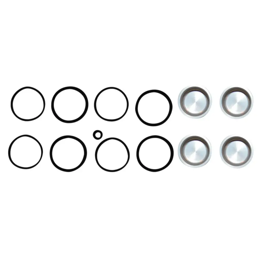 Caliper Seal Kit And Pistons For V-Rod, Sportster, And Big Twin Models 1