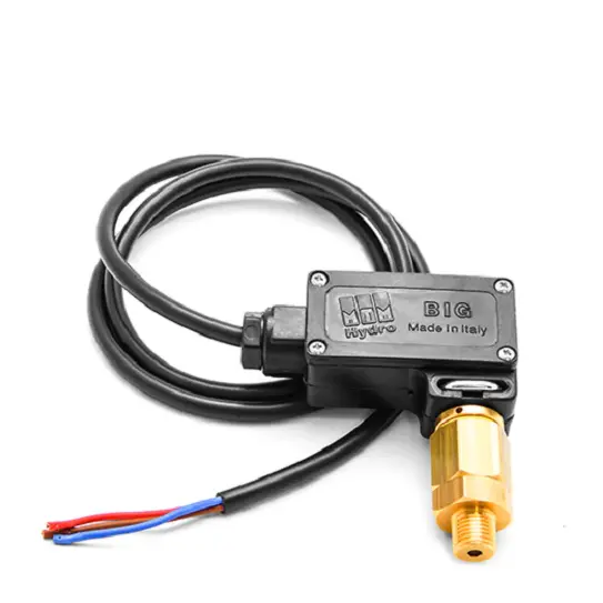 Mtm Hydro 1/4" Big Pressure Switch - 210 Psi 1