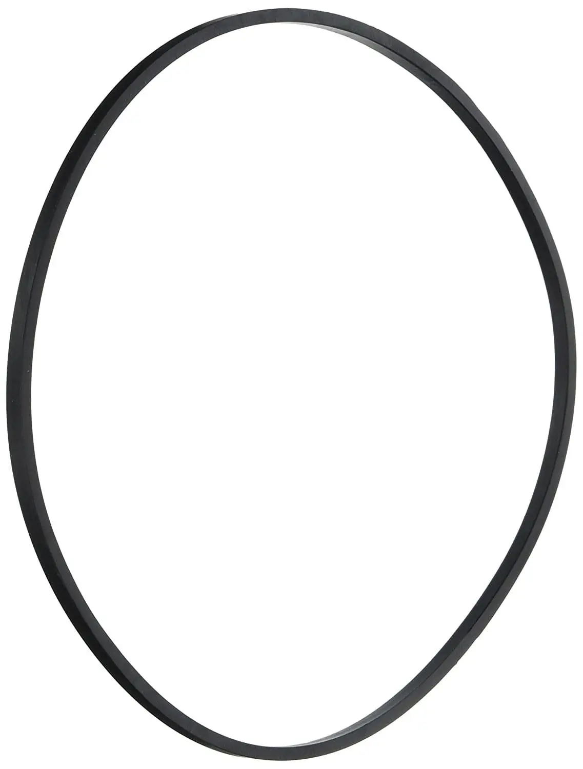 Pentair Challenger Square O-Ring (P/N: 355329Z) Call For Availability 1