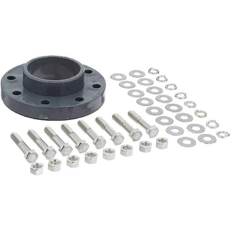 Pentair Flange Kit (P/N: 357262) 1