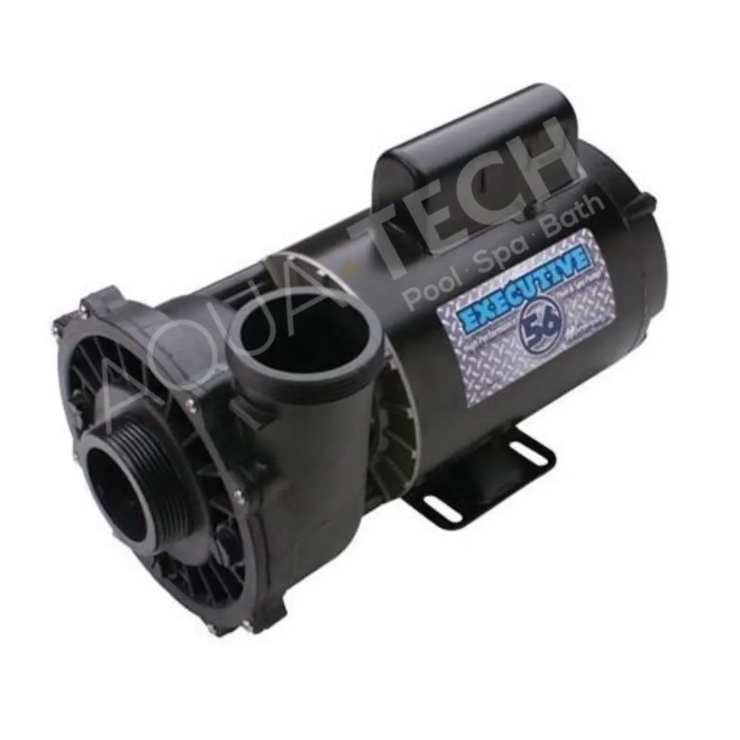Waterway Pump 56 Fr, 3Hp, 2 Speed (P/N: 3721221-1D) 1
