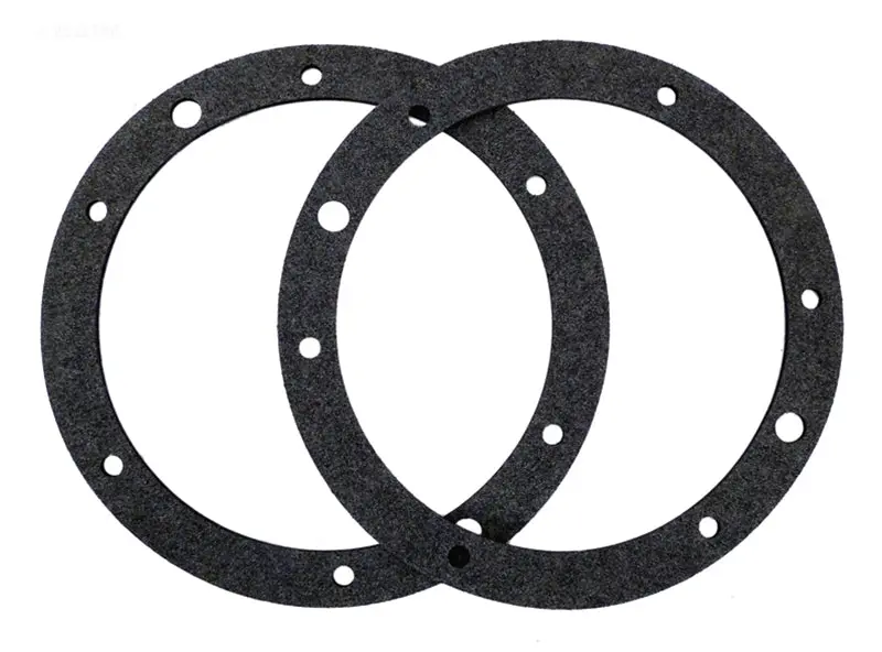 Pentair Light Gasket Set (P/N: 79204603) 1