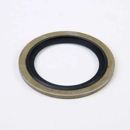 Rubber Bonded Washer 1