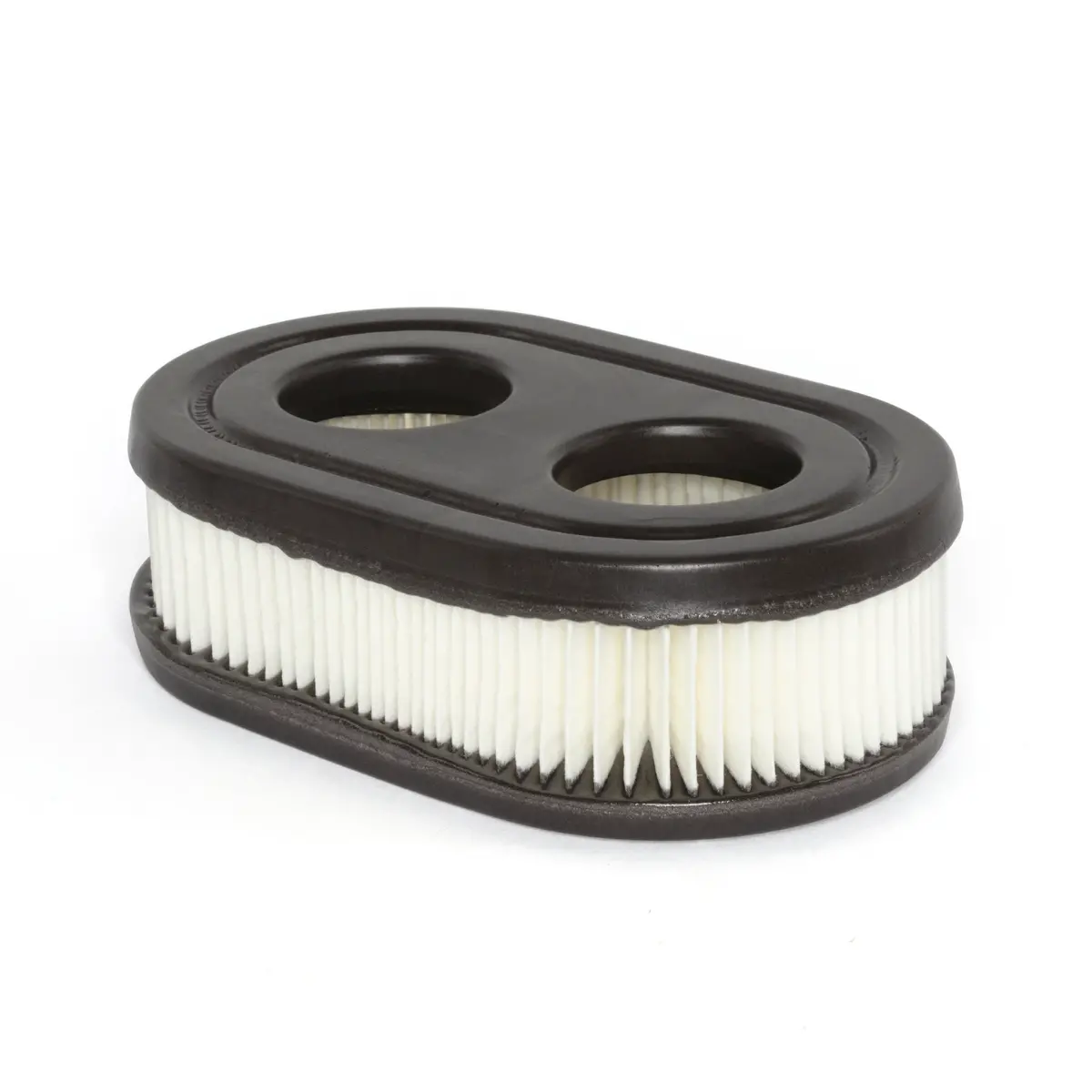Briggs & Stratton Air Filter (593260) 1