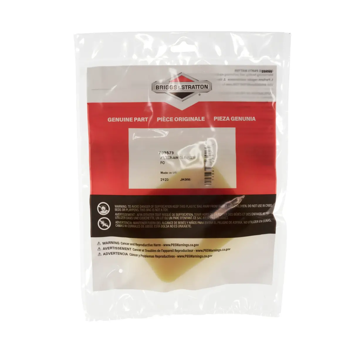 Briggs & Stratton Air Filter (799579) 2