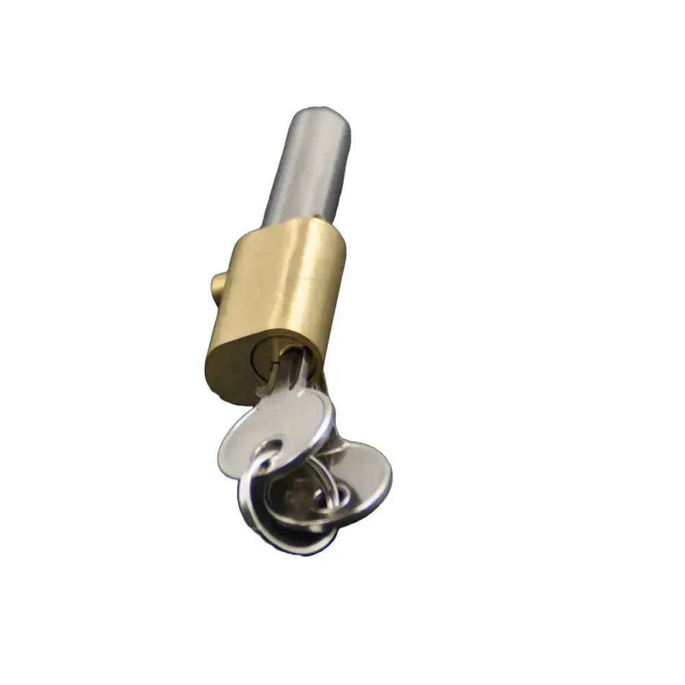 Bullet Lock Pin 2
