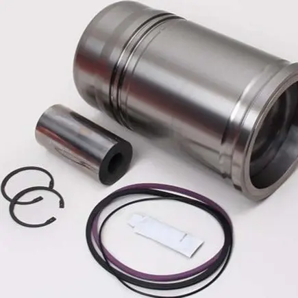 Cylinder Liner Kit 1