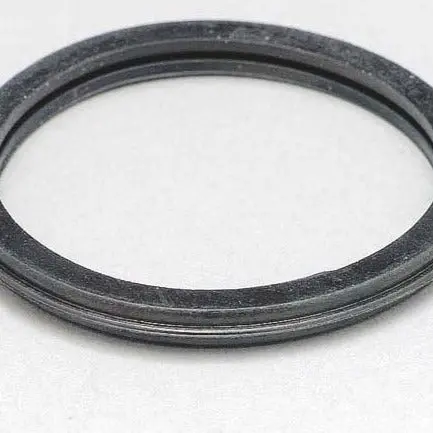 Thermostat Gasket 1
