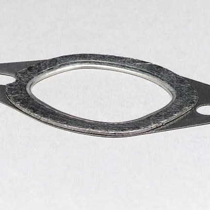 Exhaust Manifold Gasket 1
