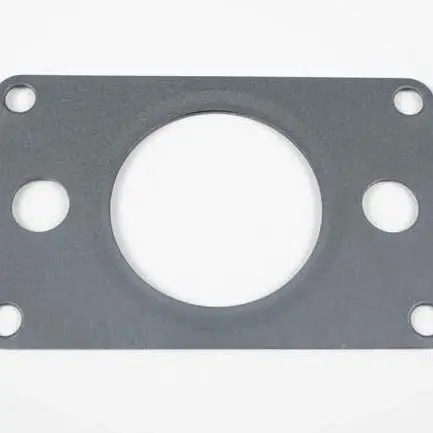Manifold Gasket 1