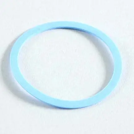 Exp. Plug Gasket 1