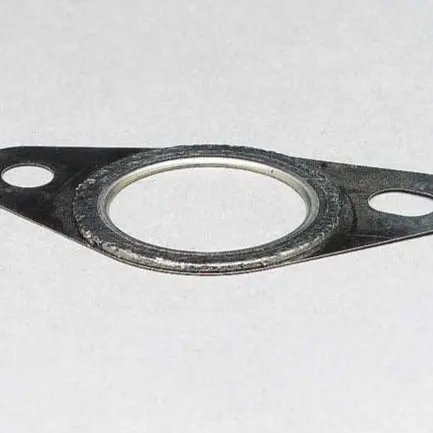 Exhaust Manifold Gasket 1