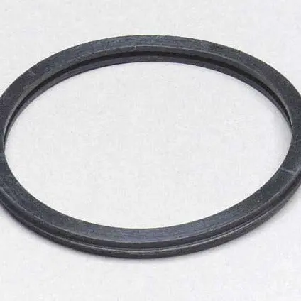 Thermostat Gasket 1