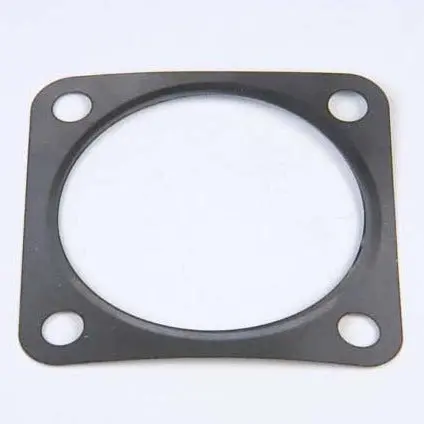 Exhaust Manifold Gasket 1