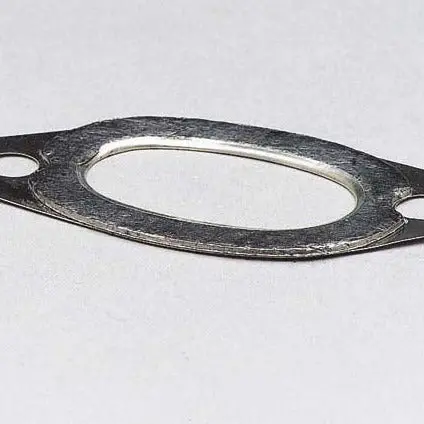 Exhaust Manifold Gasket 1