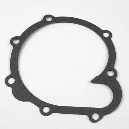 Water Pump Gasket 1