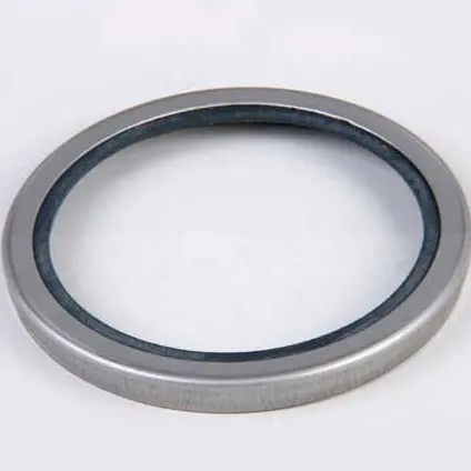 Thermostat Seal 1