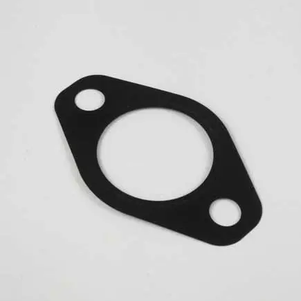 Manifold Gasket 1