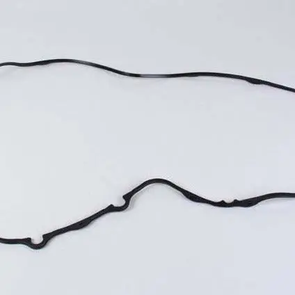 Oil Cooler Gasket 1