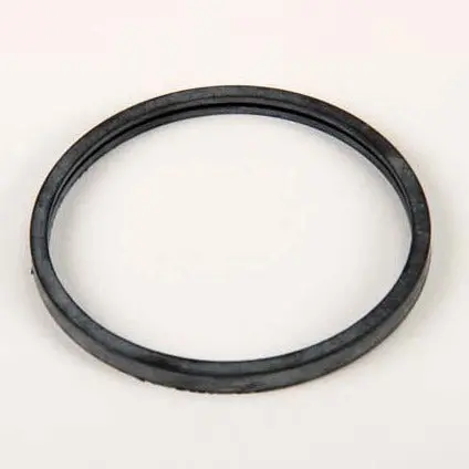 Thermostat Gasket 1
