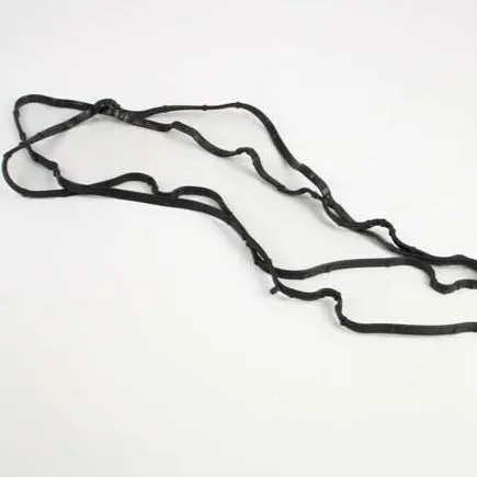 Valve Cover Gasket 1