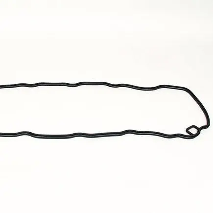 Valve Cover Gasket 1