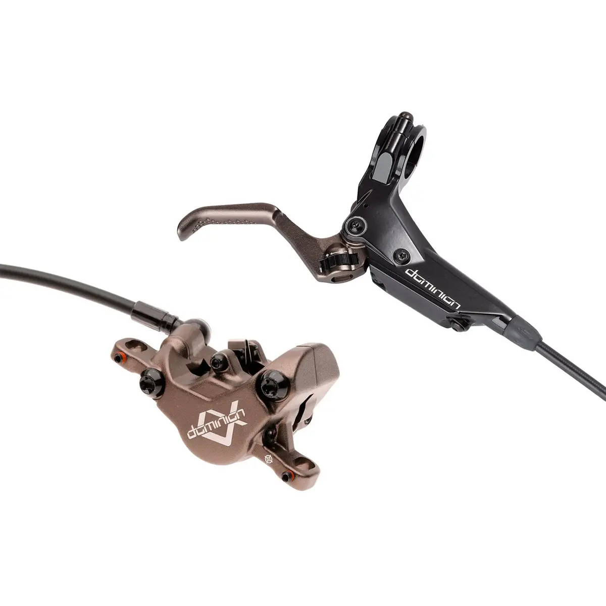 Hayes Dominion A2 Brake Kit 1