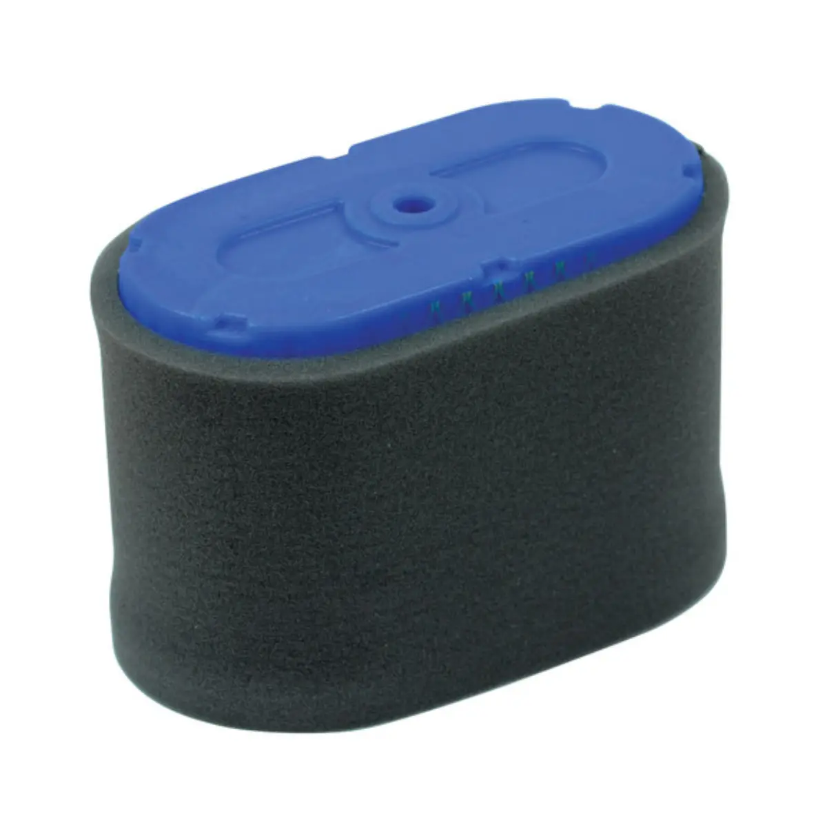 Honda Cartridge Air Filter And Pre-Filter (Air6100) 1