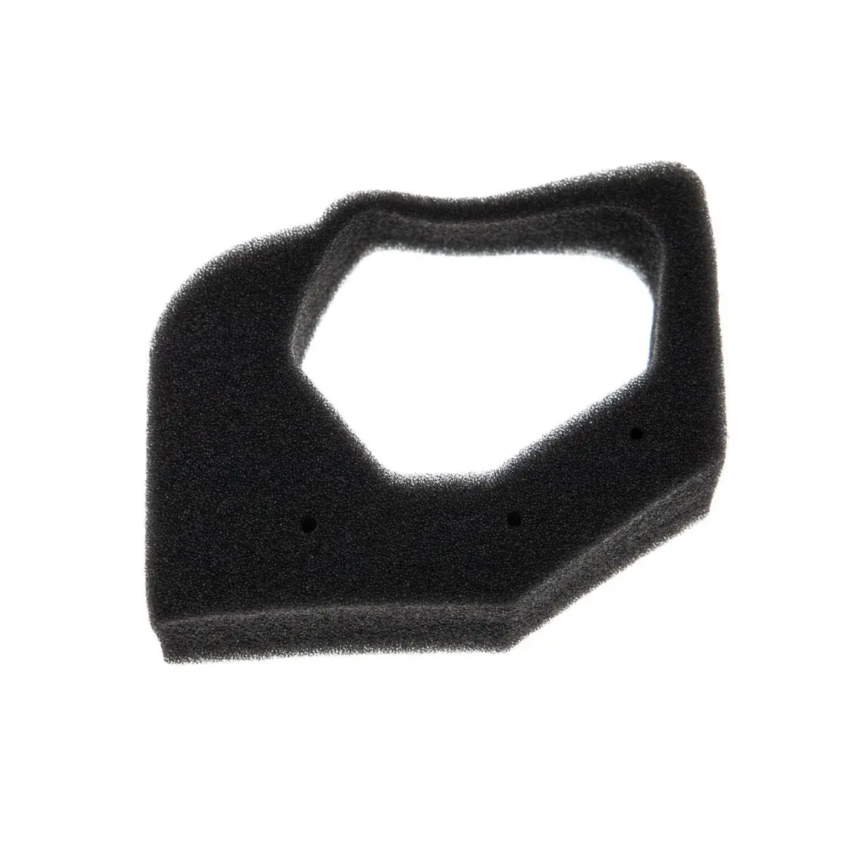 Honda Air Filter (17211Z0h000) 1