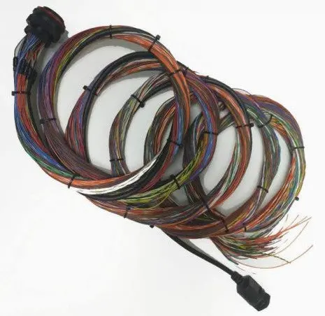 Motec Unterminated C185/L180 Wiring Harness 1
