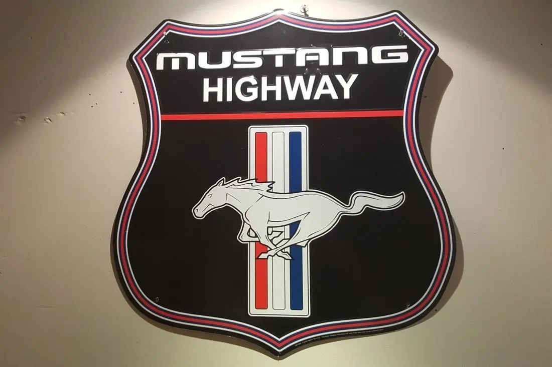 24" Mustang Shield 1