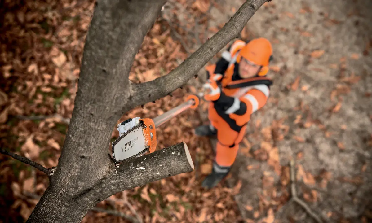 Stihl Ht 135 Petrol Pole Saw 2