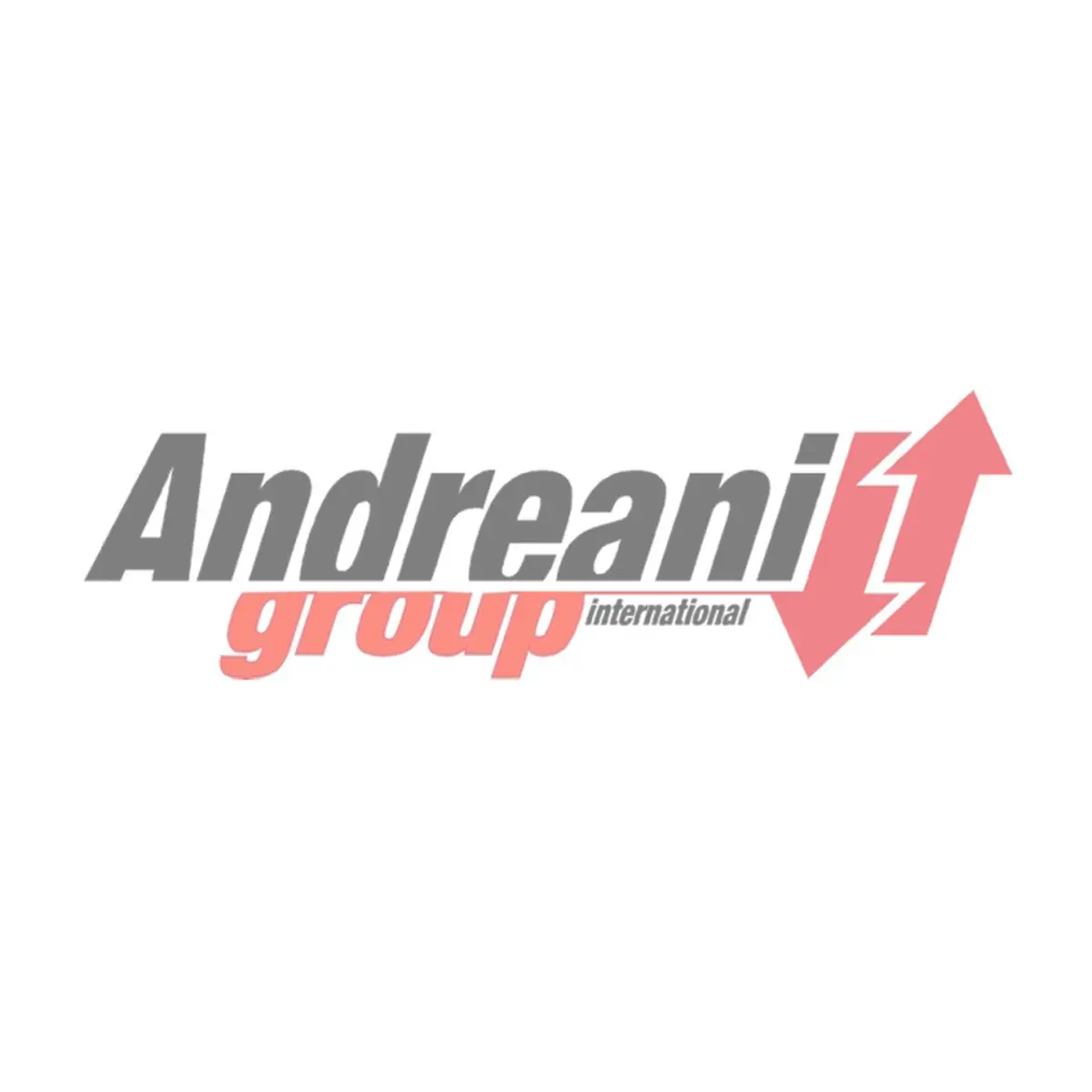 Andreani Lefty Piston Kit 2