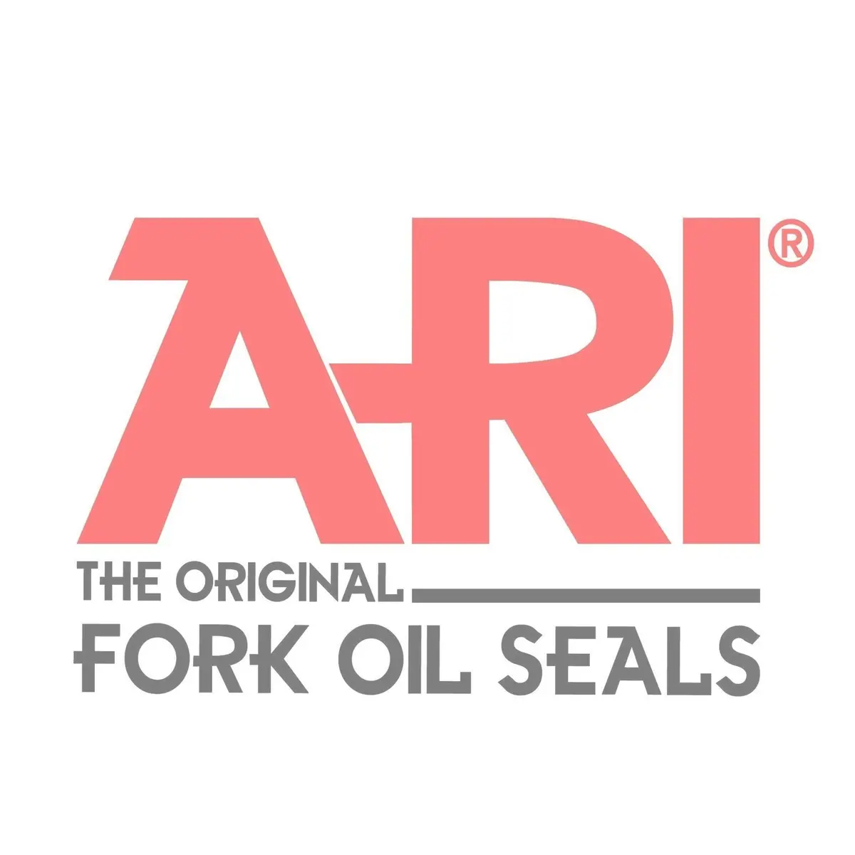 Ari Marzocchi Fork Seals 2