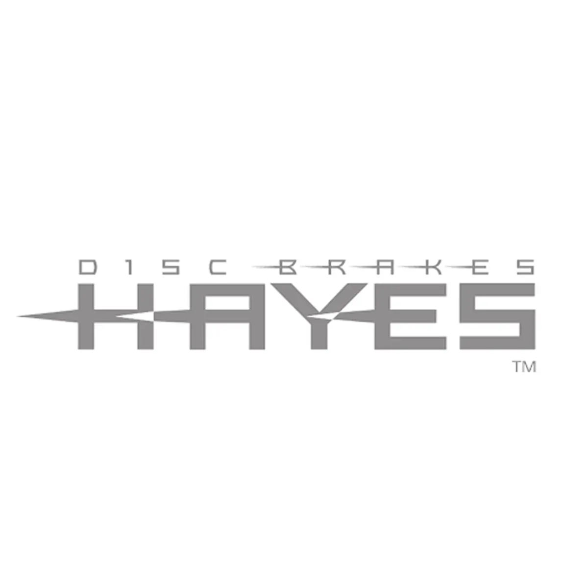 Hayes Dominion T2 Brake Kit 2