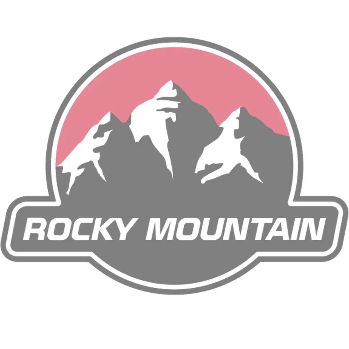 Rocky Mountain Shock Bearing Eyelet Kit 2