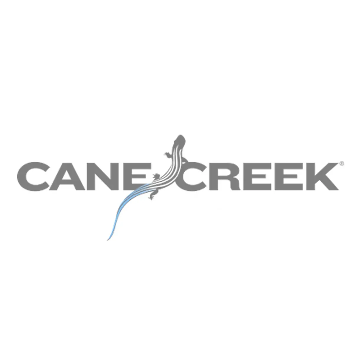 Cane Creek Tigon Service Kits 1