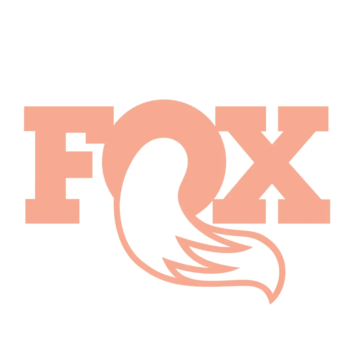 2026 Fox Podium Middle Band Brake Hose Guide 1
