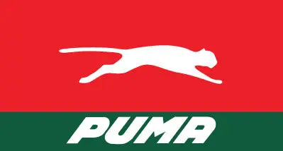 888353-001-Puma 1