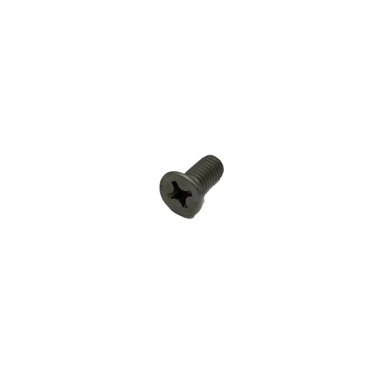 Stainless Steel Rotor Screws, M6x1.0, 6X14mm - Bag Of 16 1