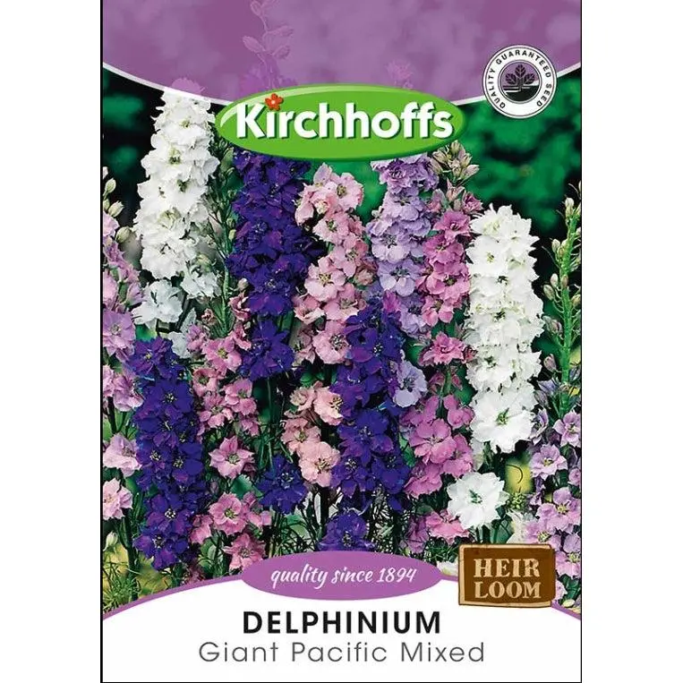Flower Seed Delphinium Kirchhoffs 1