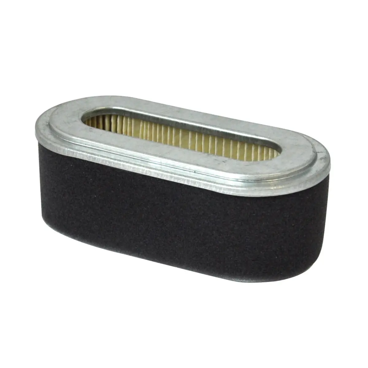 Toro Cartridge Air Filter And Pre-Filter (Air7438) 1