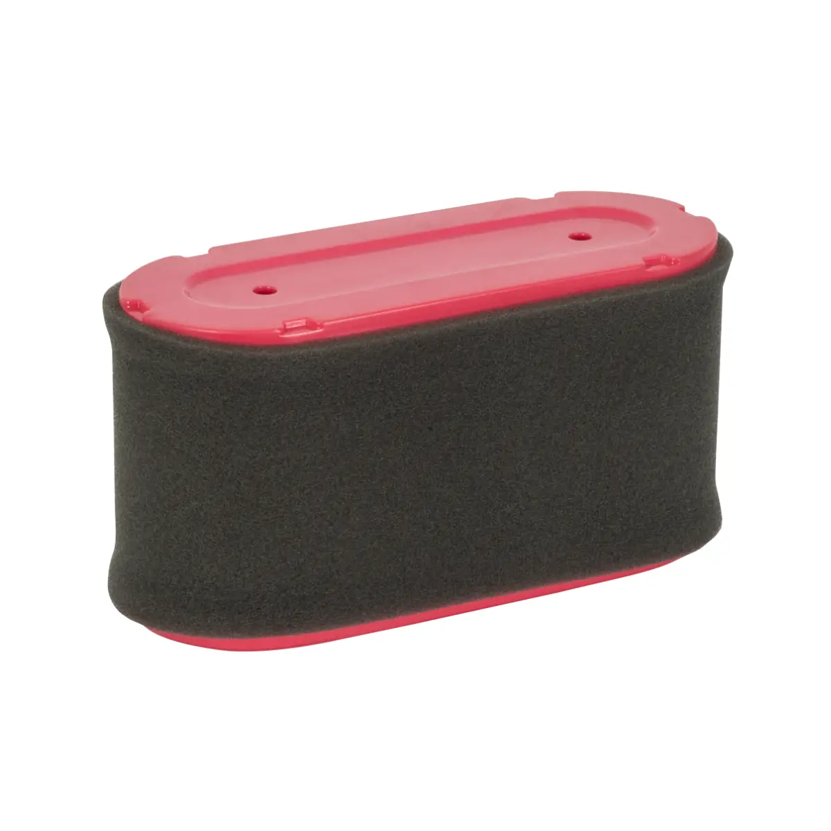 Toro Cartridge Air Filter And Pre-Filter (Air8042) 1