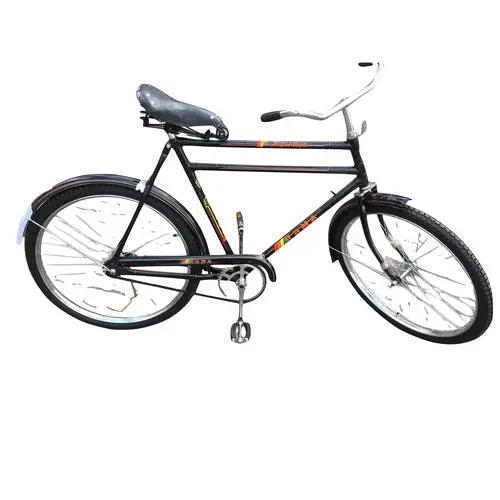 Bicycle Balloon Roadster Rama 1