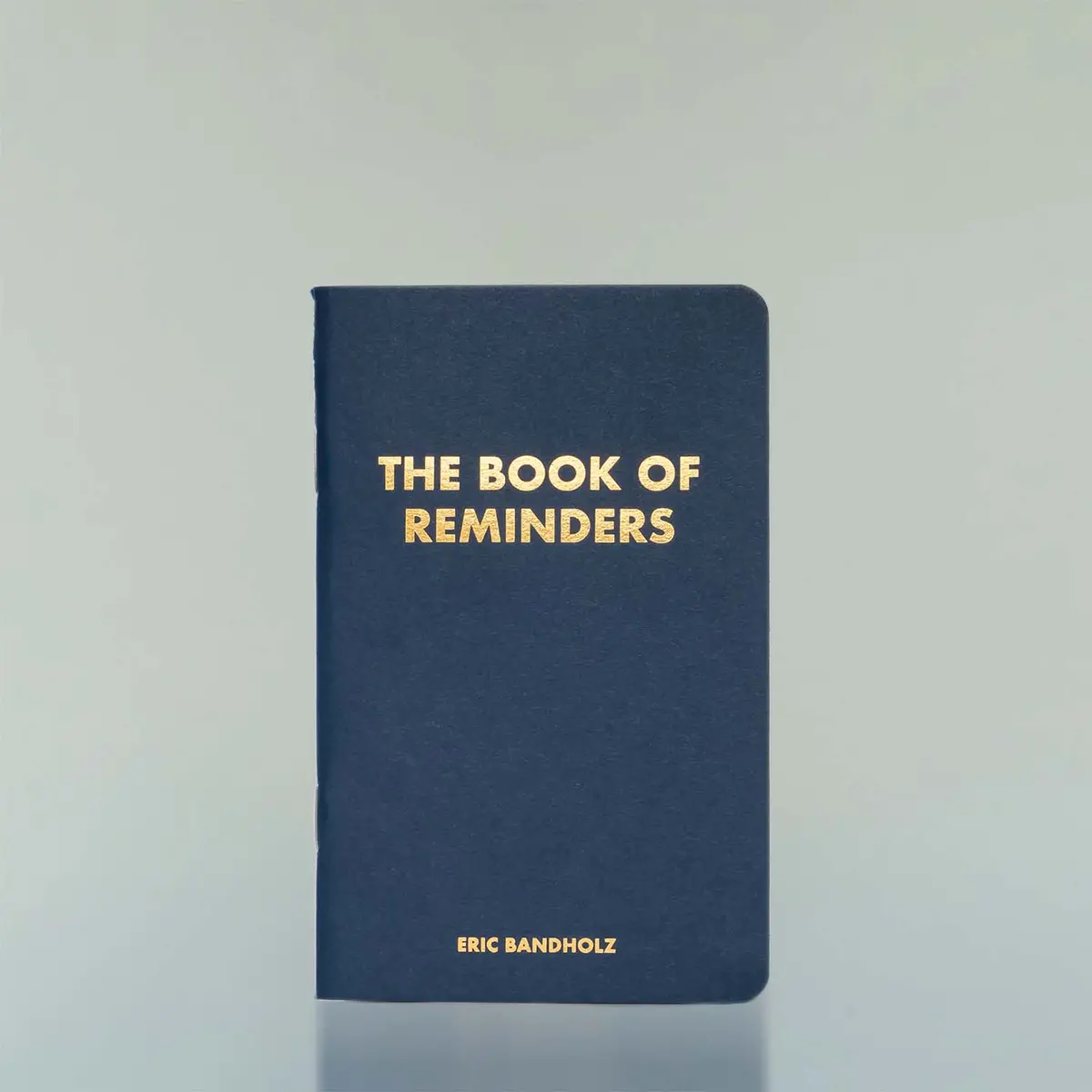 Book Of Reminders 1
