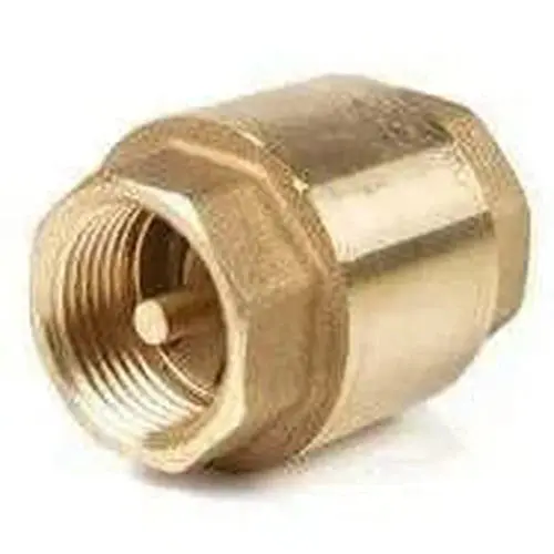 Check Non-Return Valve Spring Loaded Torrenti 1