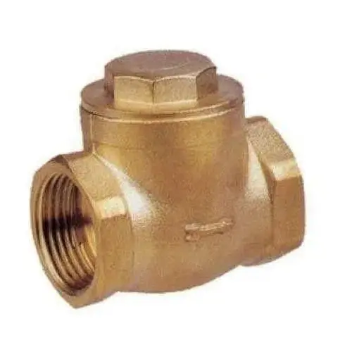 Check Non-Return Valve Swing Torrenti 1