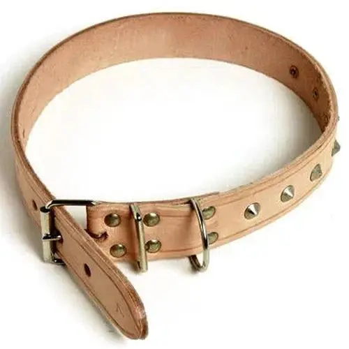 Dog Collar Leather Riveted 1